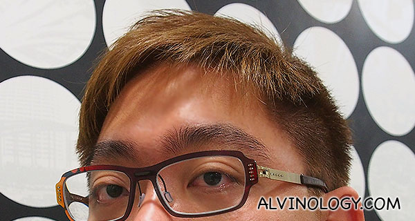 New Haircut and Hair Colour for 2014 - Alvinology