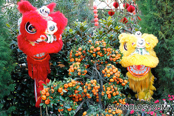 Chinese New Year Spring Celebrations @ Gardens by the Bay - Alvinology