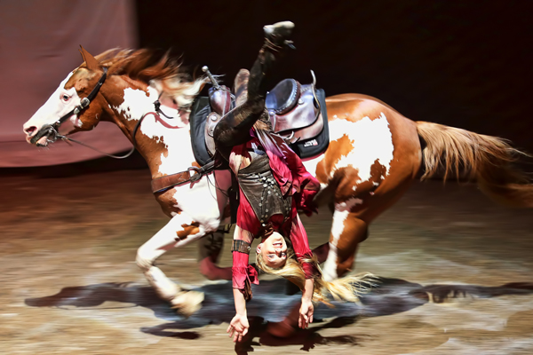 You ain't seen horse-riding until you've watched Cavalia - Alvinology