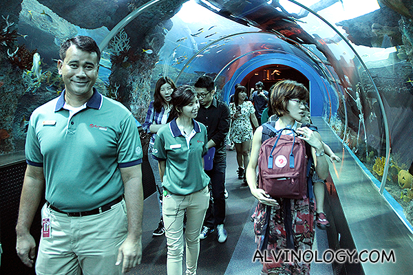 Experiencing Resorts World Sentosa’s S.E.A. Aquarium Ocean Dreams programme - a finalist for the 2014 Singapore Experience Awards - Alvinology