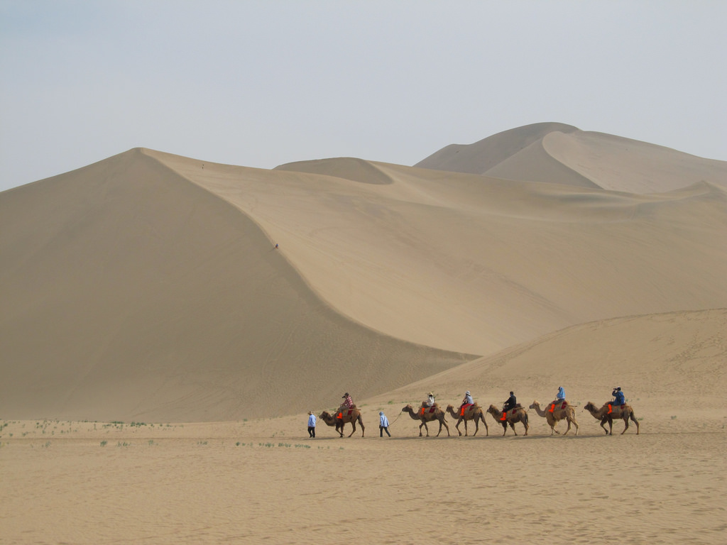 Journeying on the Silk Road - Alvinology