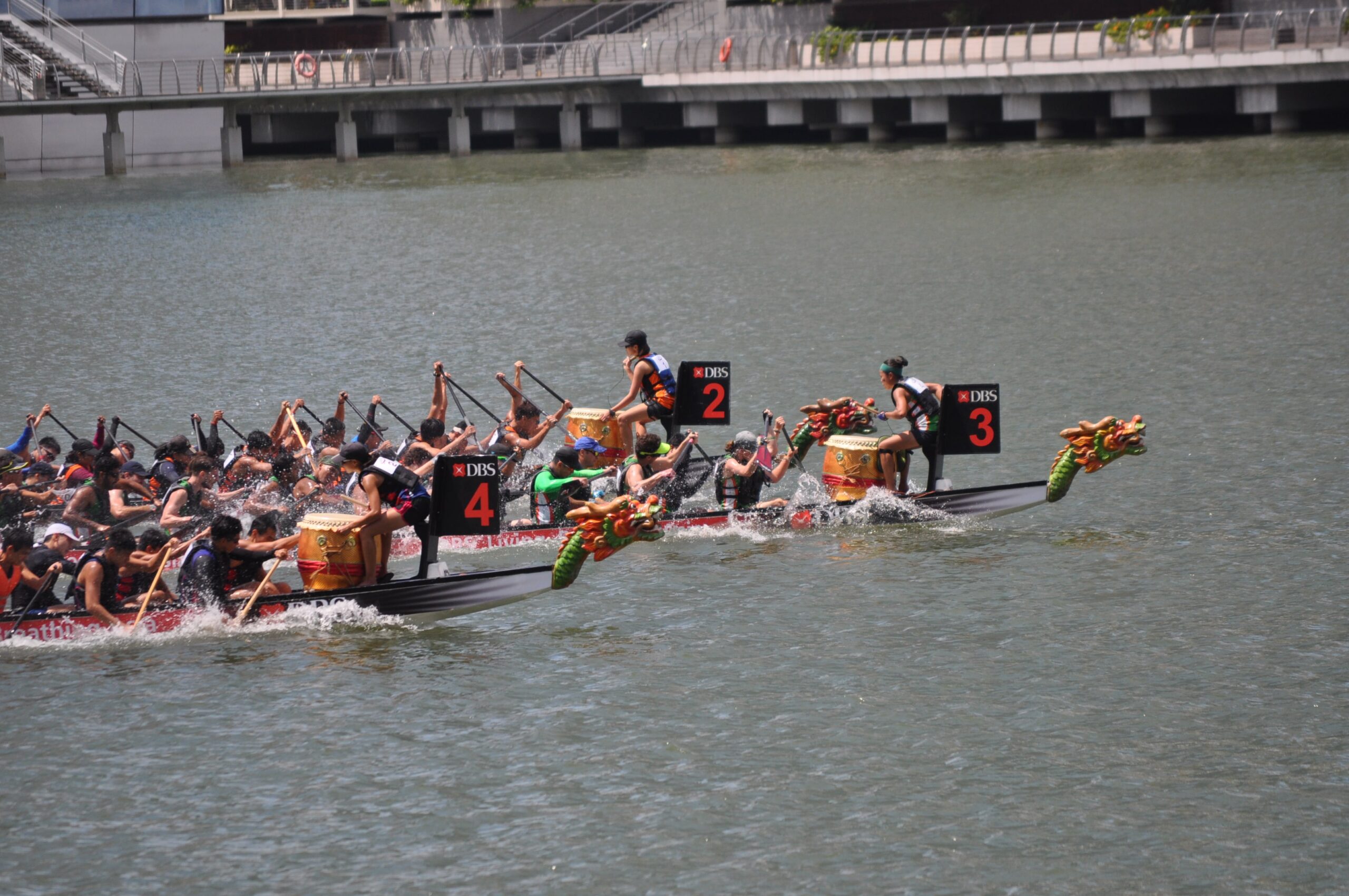 DBS Marina Regatta 2015 - Alvinology