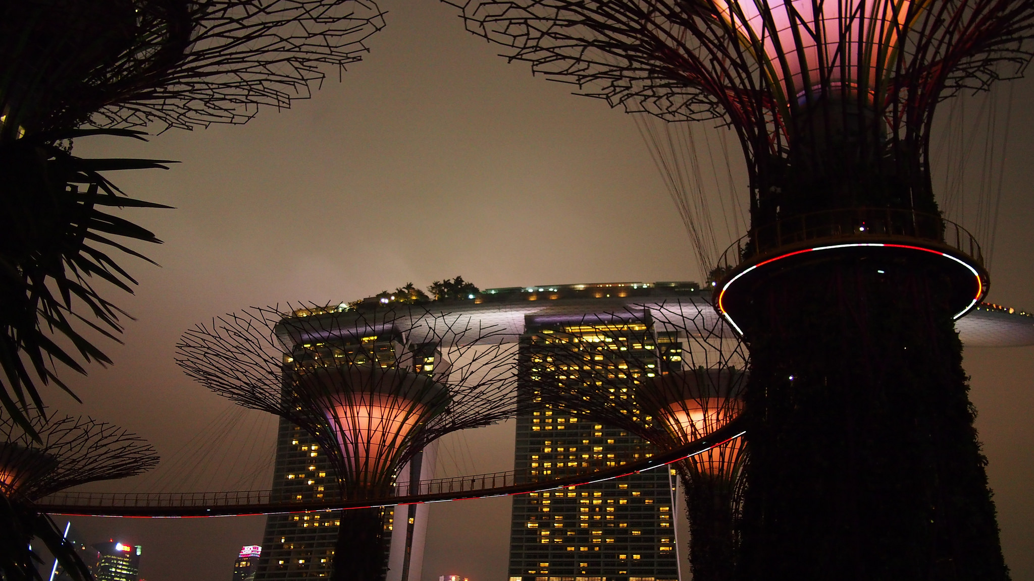 Why you should visit Gardens by the Bay during the SG50 weekend - Alvinology