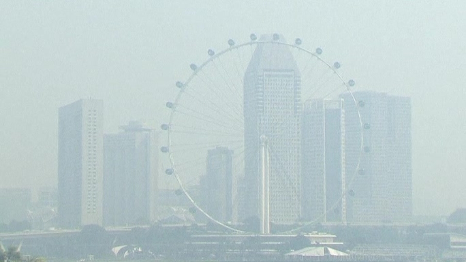 The 5 Companies issued with Preventive Measures Notices by Singapore Government under Transboundary Haze Pollution Act - Alvinology