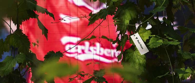 One day left to win a VIP trip to Anfield, UK to see the Liverpool FC team train and take on Chelsea, thanks to Carlsberg - Alvinology