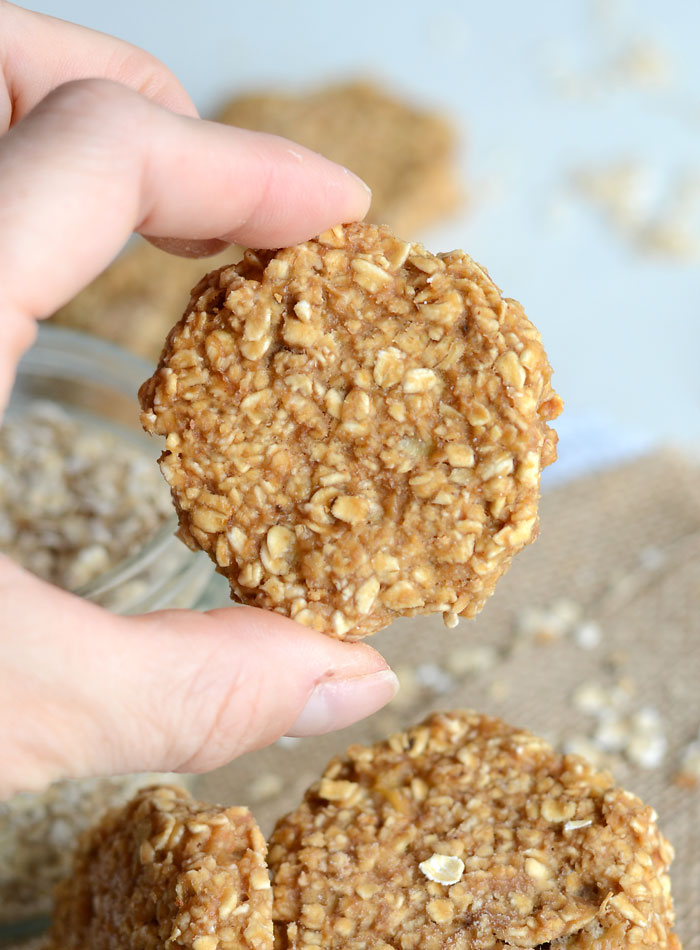 An Oat To Low-Fat Recipes - Alvinology