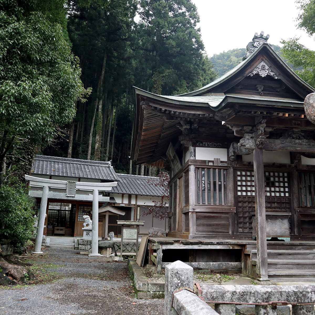 How To Best Get Around Kansai Region In Japan How To Best Get Around Kansai Region In Japan - Alvinology