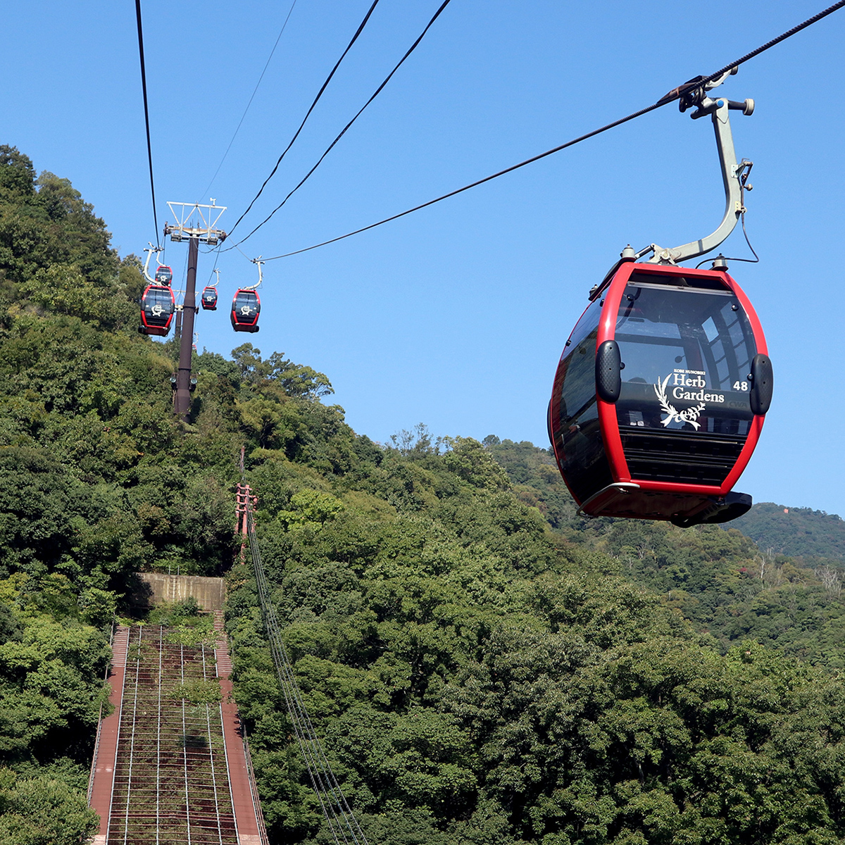 How To Best Get Around Kansai Region In Japan How To Best Get Around Kansai Region In Japan - Alvinology