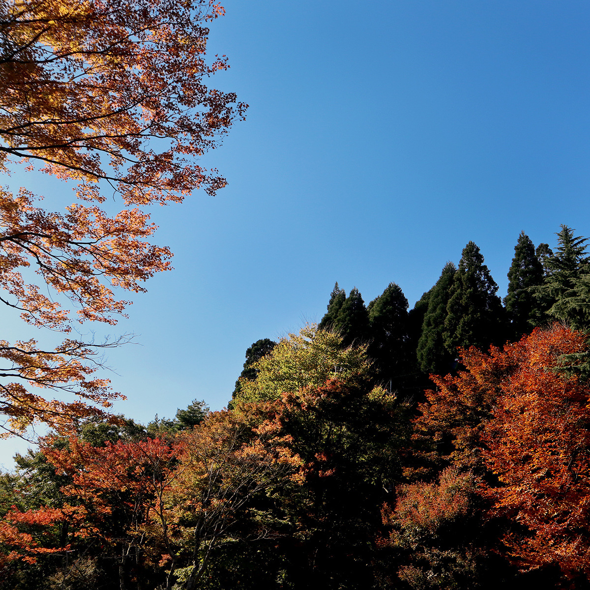 How To Best Get Around Kansai Region In Japan How To Best Get Around Kansai Region In Japan - Alvinology