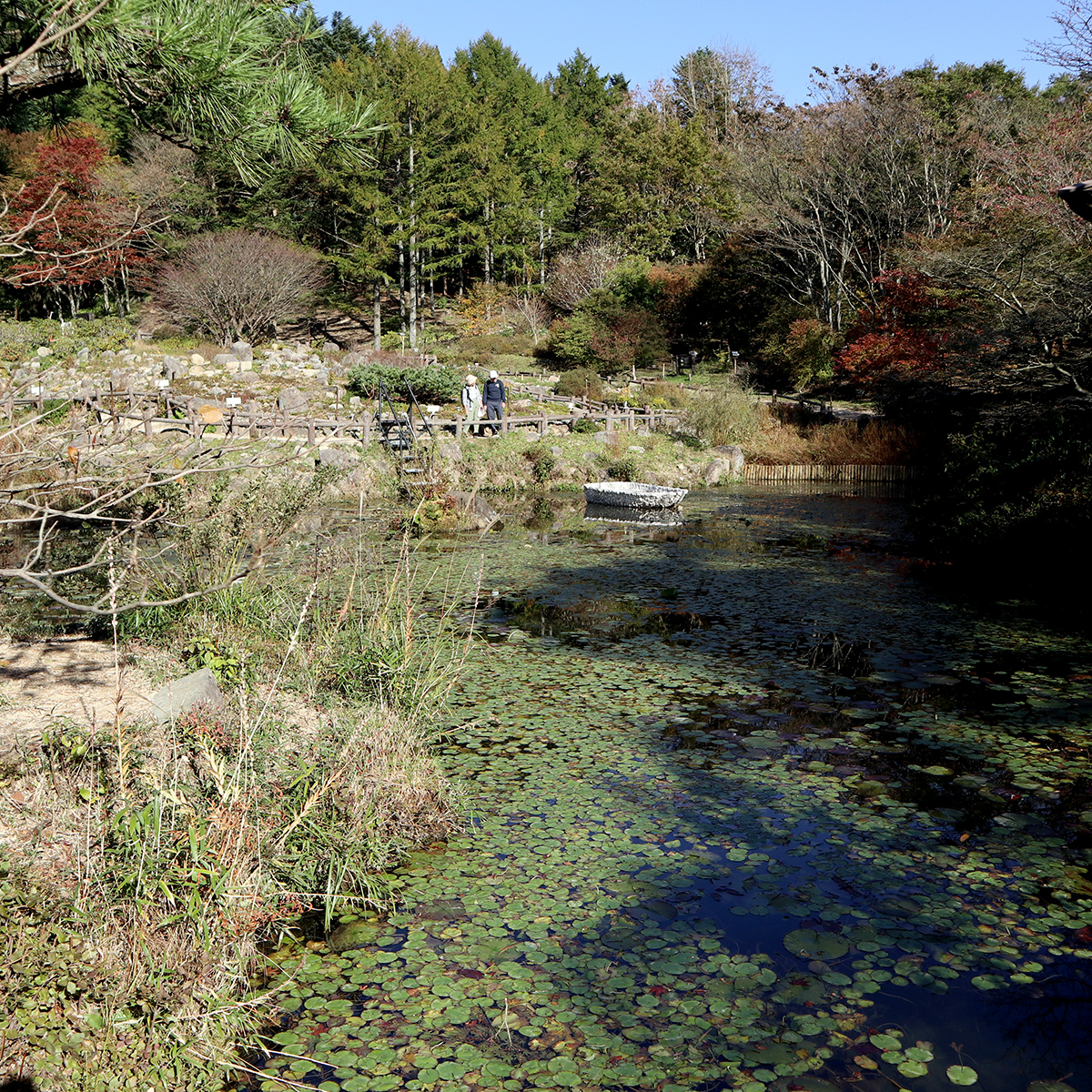 How To Best Get Around Kansai Region In Japan How To Best Get Around Kansai Region In Japan - Alvinology