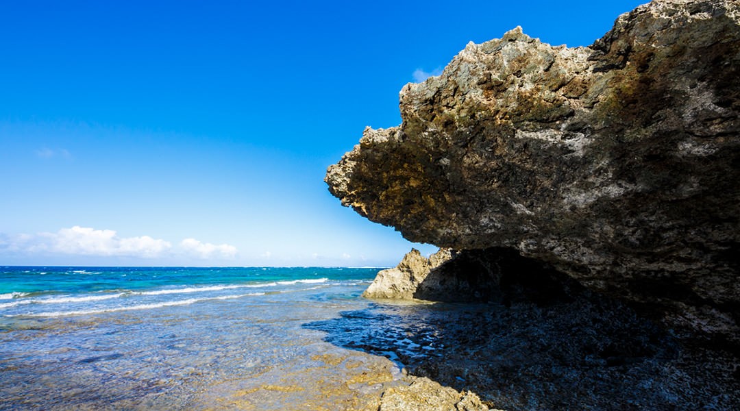 [Sponsored Post] Live Nuchigusui - Okinawa's secret to longevity - Alvinology