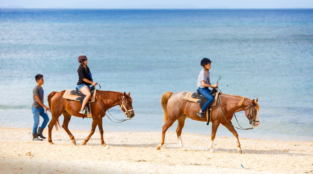 [Sponsored Post] Live Nuchigusui - Okinawa's secret to longevity - Alvinology
