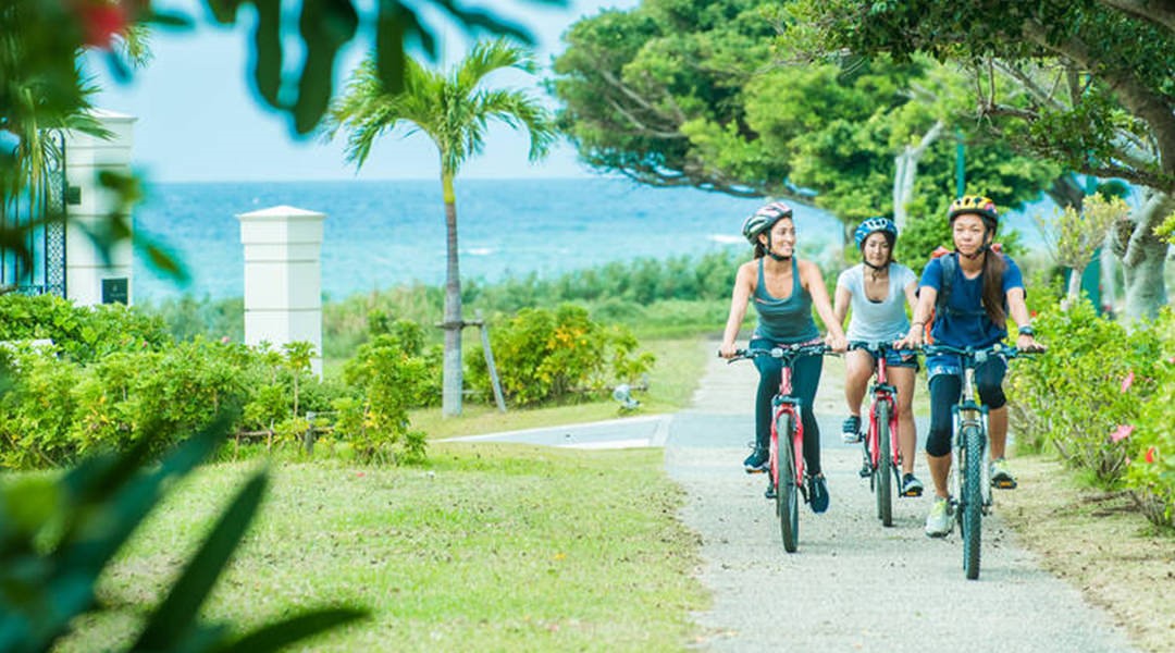 [Sponsored Post] Live Nuchigusui - Okinawa's secret to longevity - Alvinology