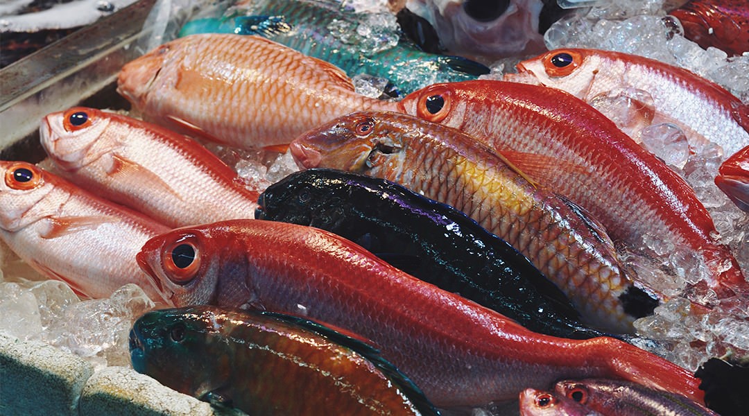 [Sponsored Post] Live Nuchigusui - Okinawa's secret to longevity - Alvinology
