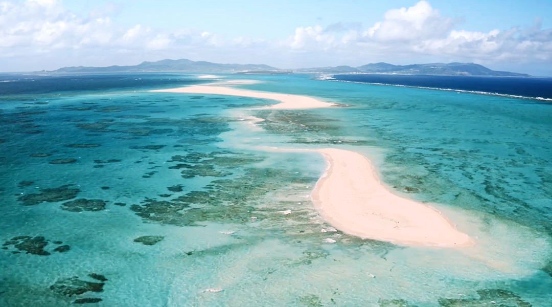 [Sponsored Post] Live Nuchigusui - Okinawa's secret to longevity - Alvinology