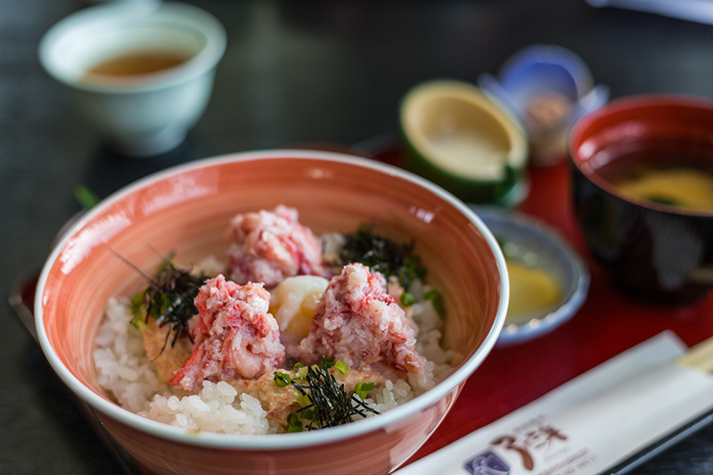 A Tale of Two Cities: Tokyo x Tottori - Alvinology