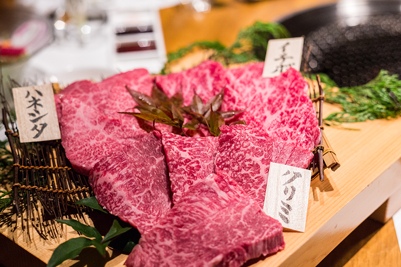 A Tale of Two Cities: Tokyo x Tottori - Alvinology
