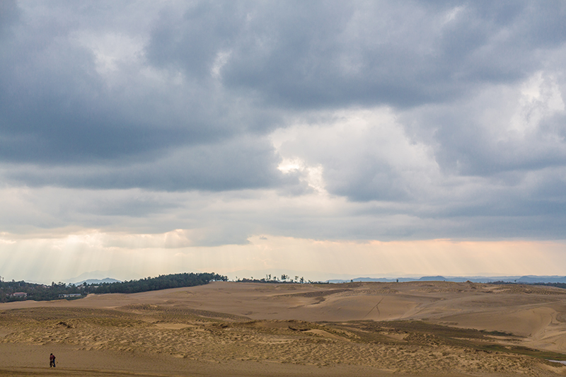 A Tale of Two Cities: Tokyo x Tottori - Alvinology