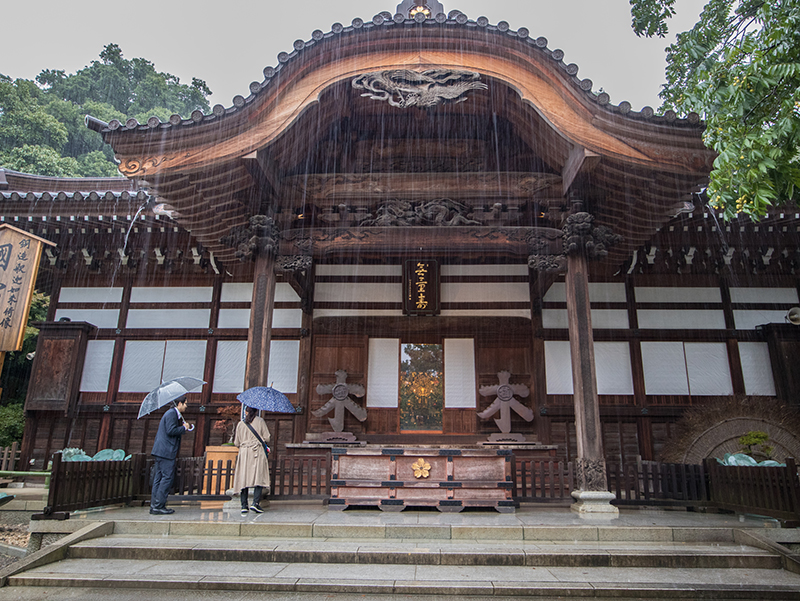A Tale of Two Cities: Tokyo x Tottori - Alvinology