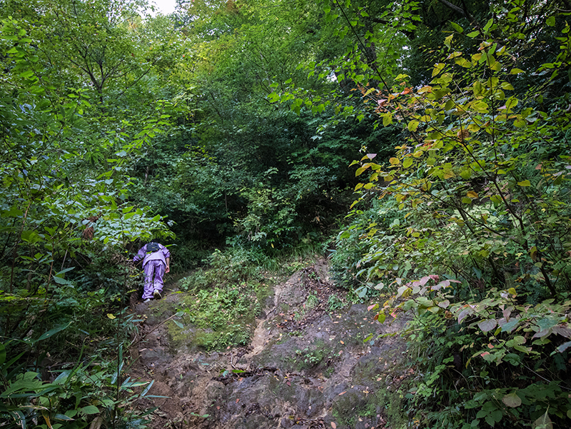 A Tale of Two Cities: Tokyo x Tottori - Alvinology