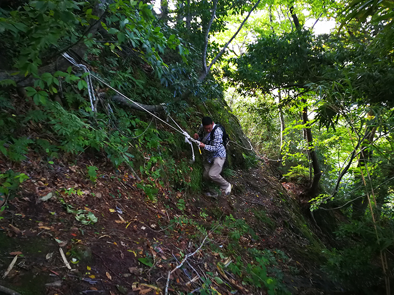 A Tale of Two Cities: Tokyo x Tottori - Alvinology