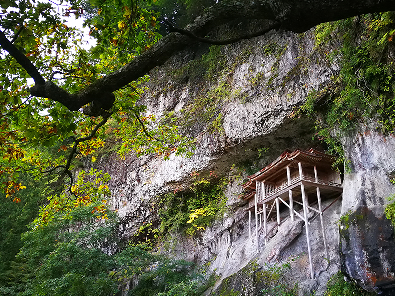 A Tale of Two Cities: Tokyo x Tottori - Alvinology