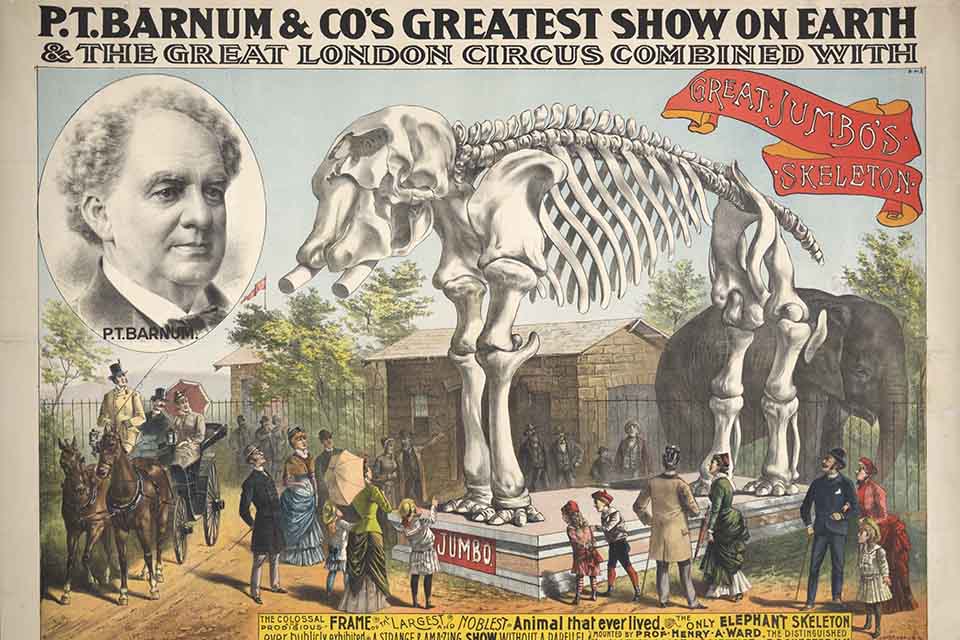 Original Barnum poster
