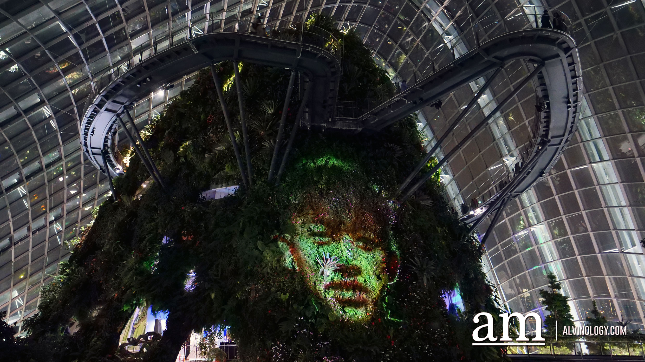 [3 nights only] Embark on a journey of self-discover at Cloud Forest, Gardens by the Bay - Alvinology