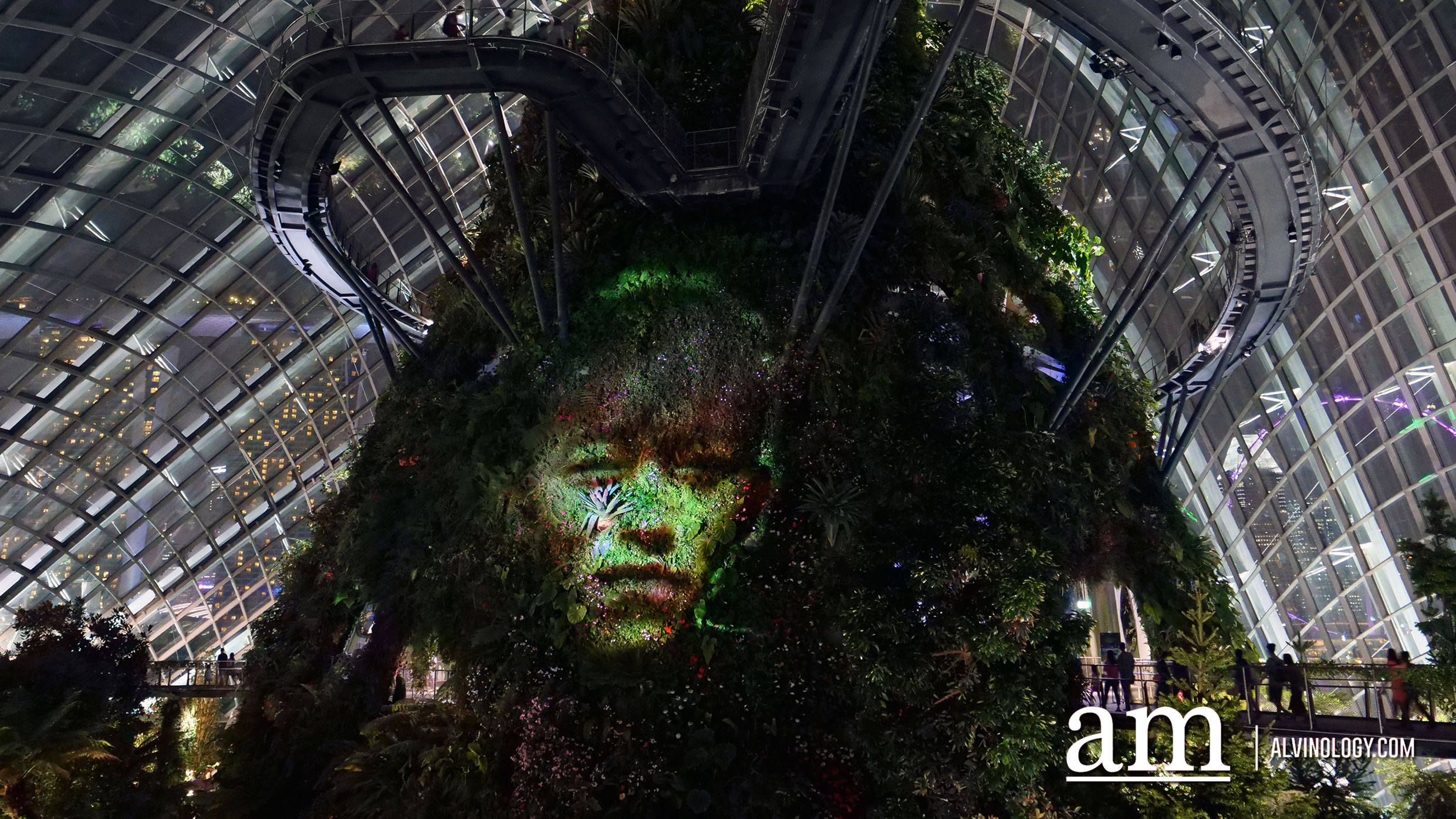 [3 nights only] Embark on a journey of self-discover at Cloud Forest, Gardens by the Bay - Alvinology