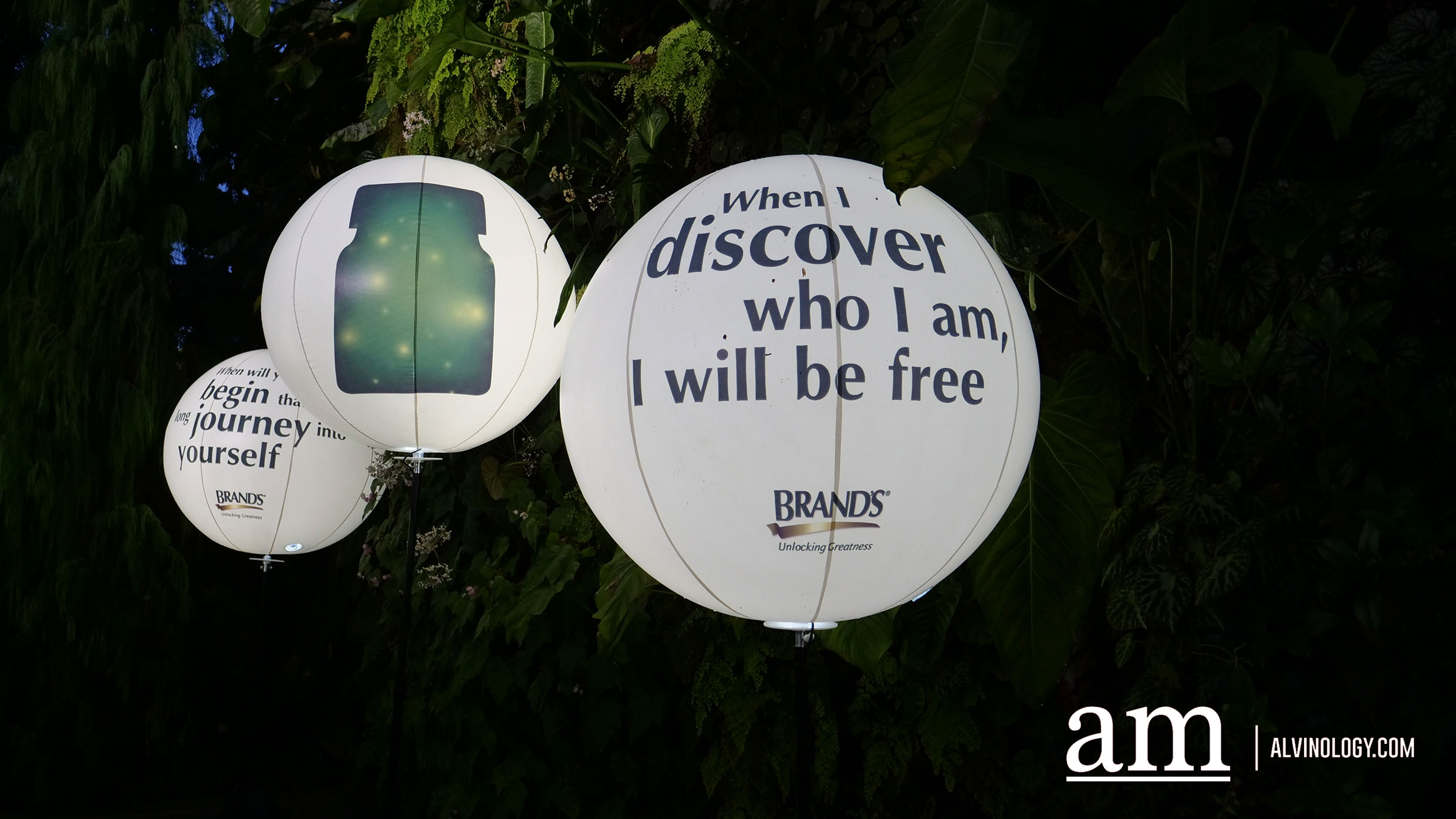 [3 nights only] Embark on a journey of self-discover at Cloud Forest, Gardens by the Bay - Alvinology
