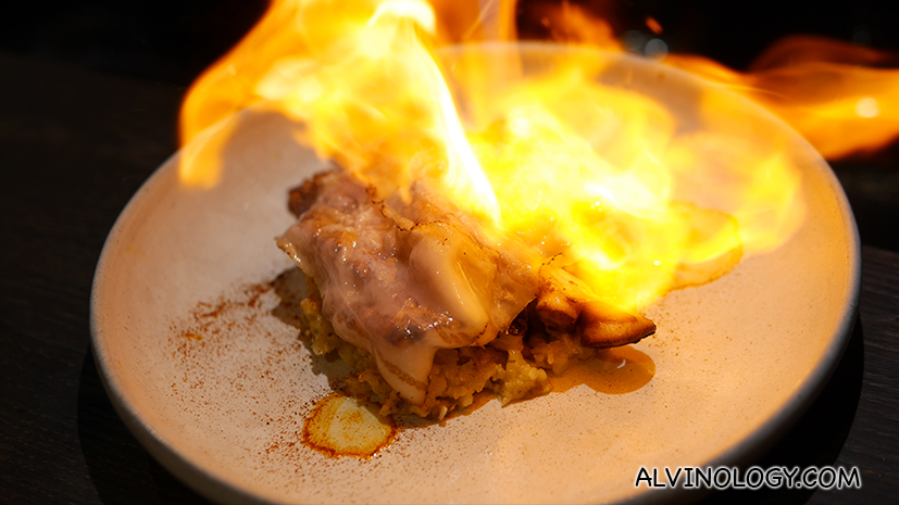 Dehesa Singapore - Authentic Spanish Cuisine at North Canal Road Specialising in Offal Dishes - Alvinology