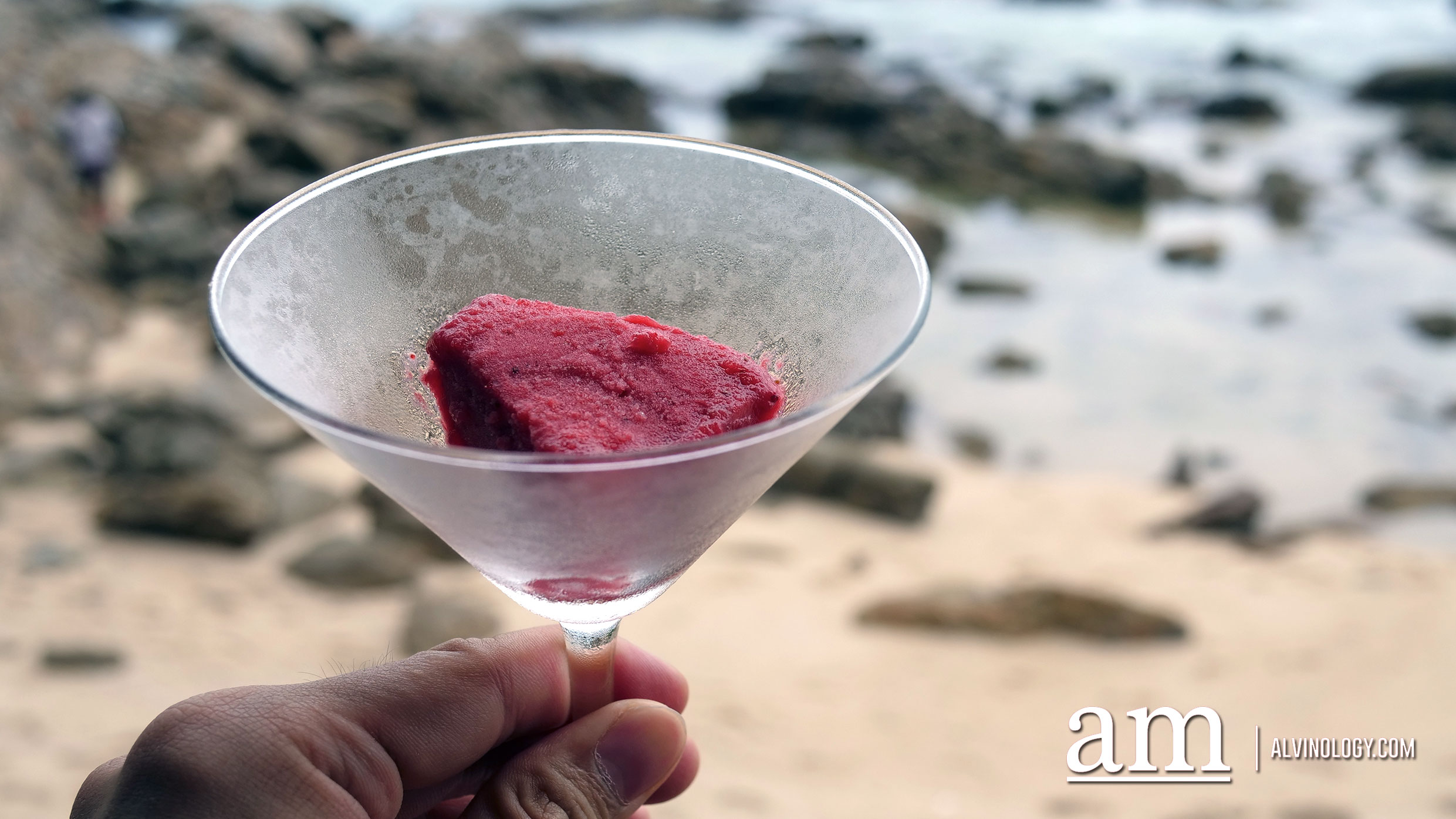 Sorbet to cleanse the palate 