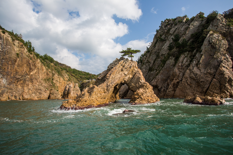 A Tale of Two Cities: Tokyo x Tottori - Alvinology