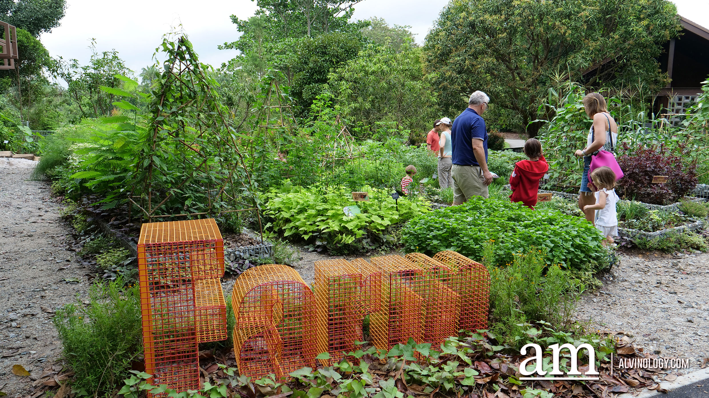 Jacob Ballas Children's Garden - Largest Children's Garden in Asia Jacob Ballas Children's Garden - Largest Children's Garden in Asia - Alvinology