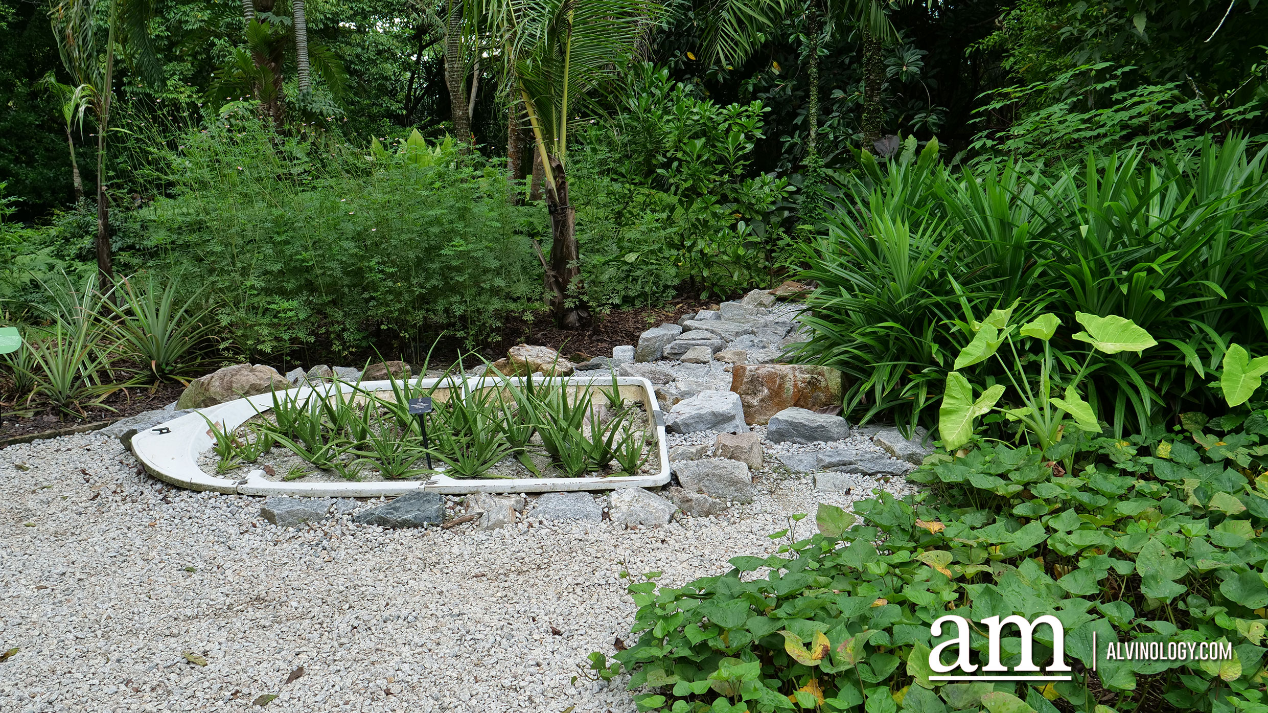 Jacob Ballas Children's Garden - Largest Children's Garden in Asia Jacob Ballas Children's Garden - Largest Children's Garden in Asia - Alvinology