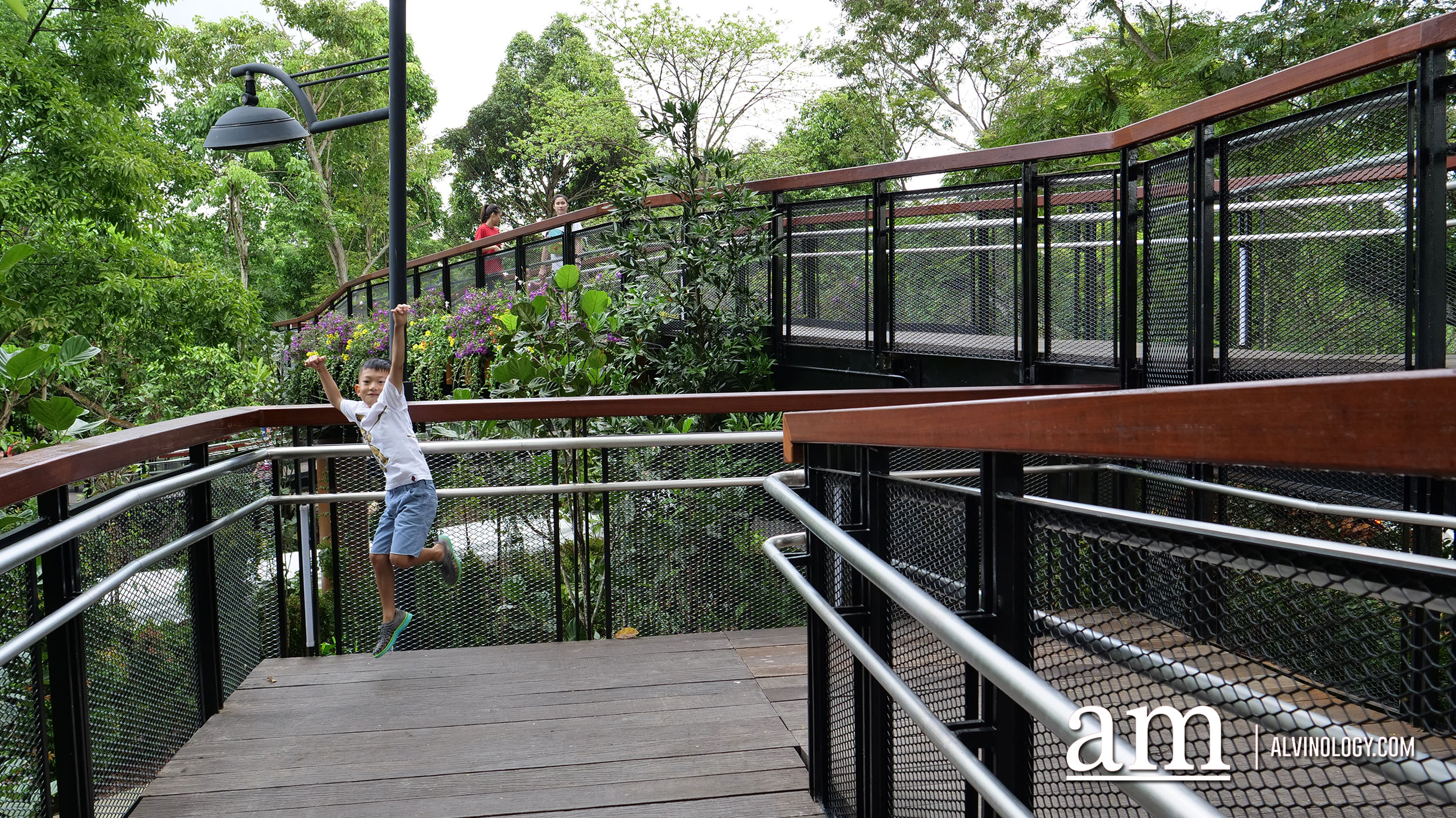 Jacob Ballas Children's Garden - Largest Children's Garden in Asia Connecting bridge