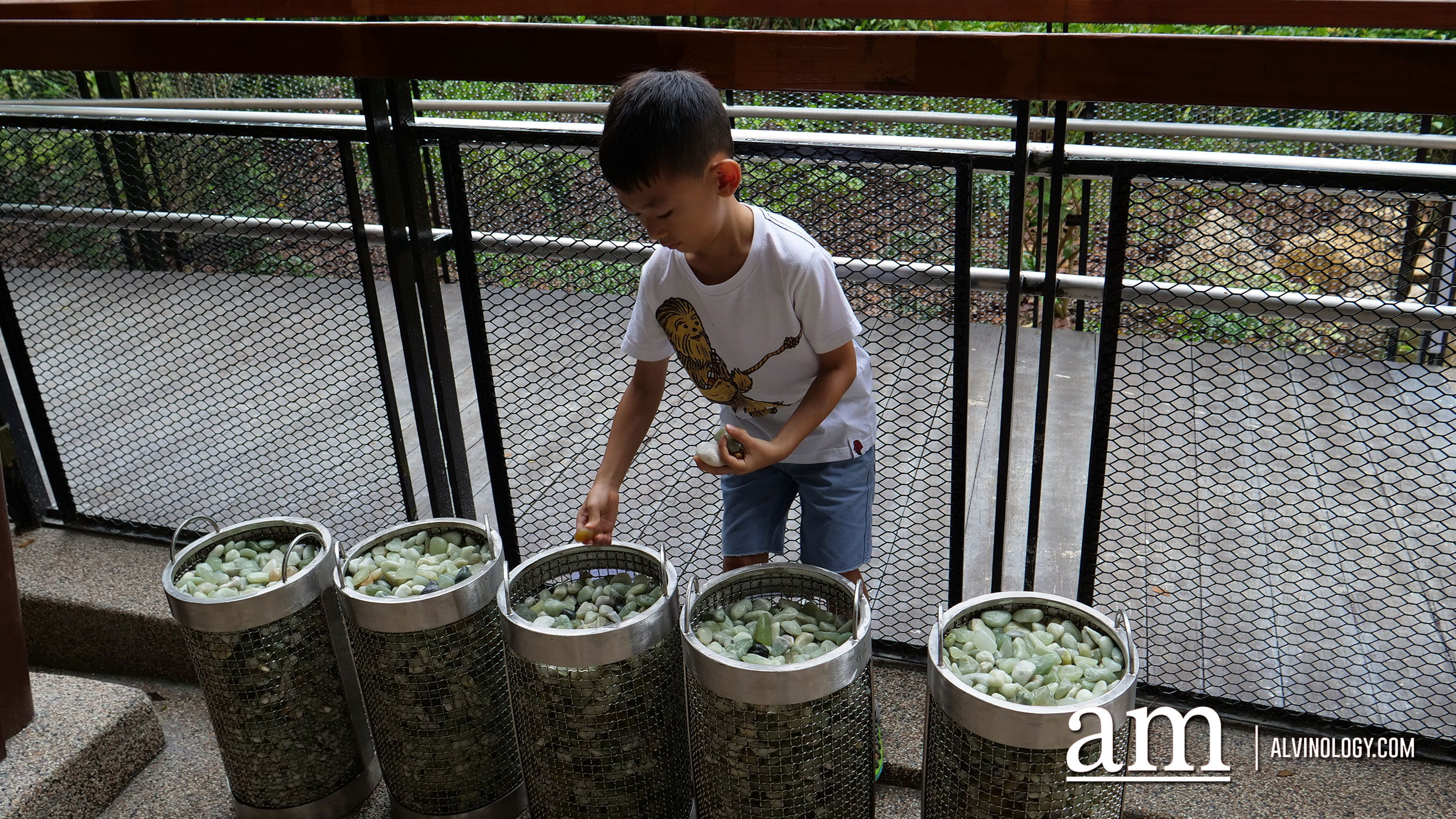 Jacob Ballas Children's Garden - Largest Children's Garden in Asia Jacob Ballas Children's Garden - Largest Children's Garden in Asia - Alvinology