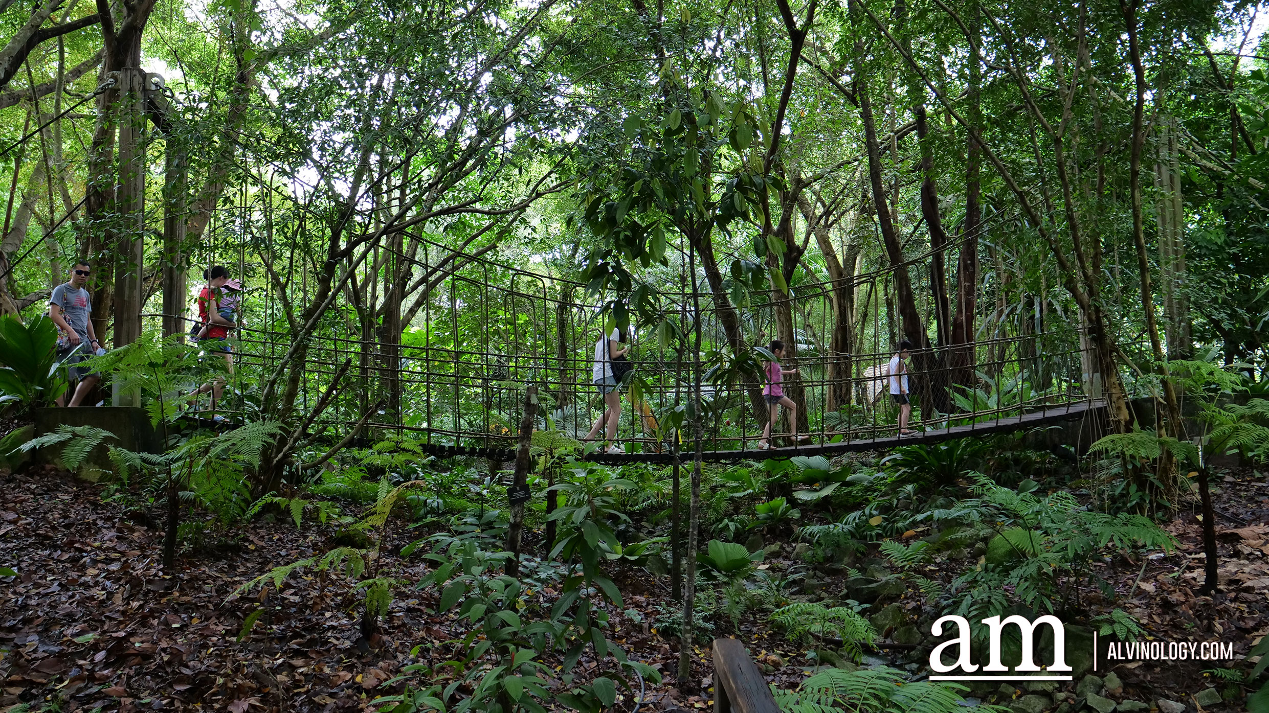 Jacob Ballas Children's Garden - Largest Children's Garden in Asia Jacob Ballas Children's Garden - Largest Children's Garden in Asia - Alvinology