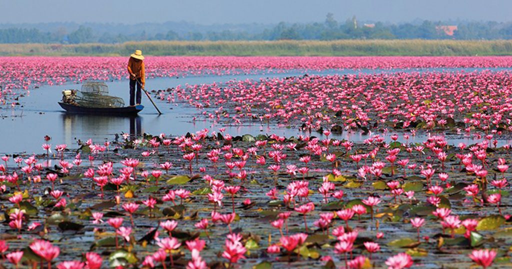 8 Cool & Unique Things to Do on Your Next Trip to Thailand - Alvinology