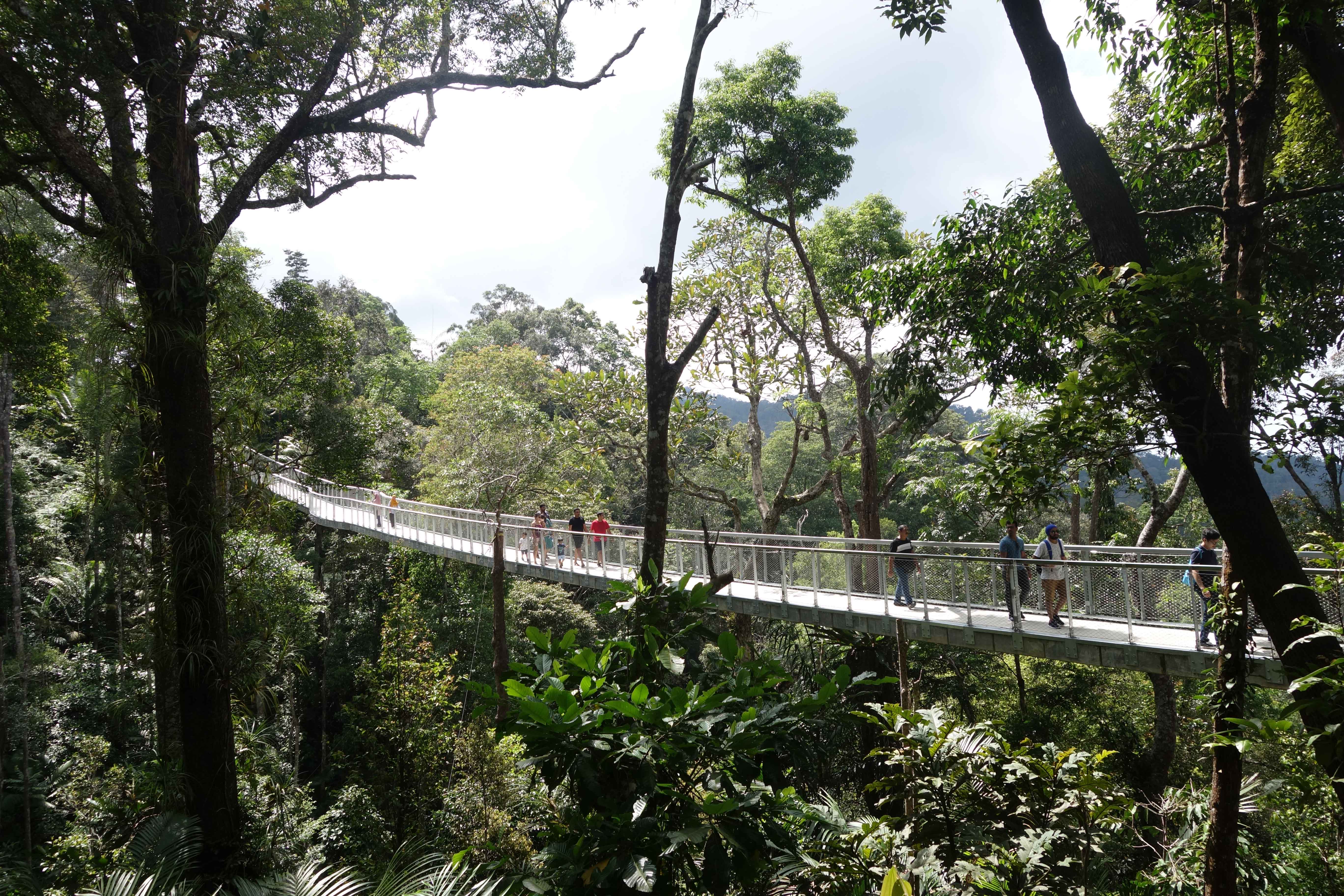Explore Penang’s Heritage Through Street Art, Clan Jetties & Penang Hill Explore Penang’s Heritage Through Street Art, Clan Jetties & Penang Hill - Alvinology