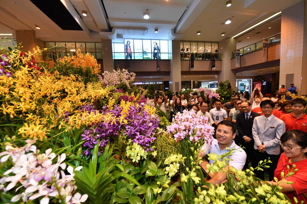 Singapore Garden Festival blossoms into three signature garden and horticulture shows - Alvinology