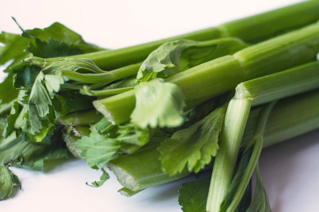 Recharge Your Afternoon Productivity With These Nutritious Snacks - Alvinology
