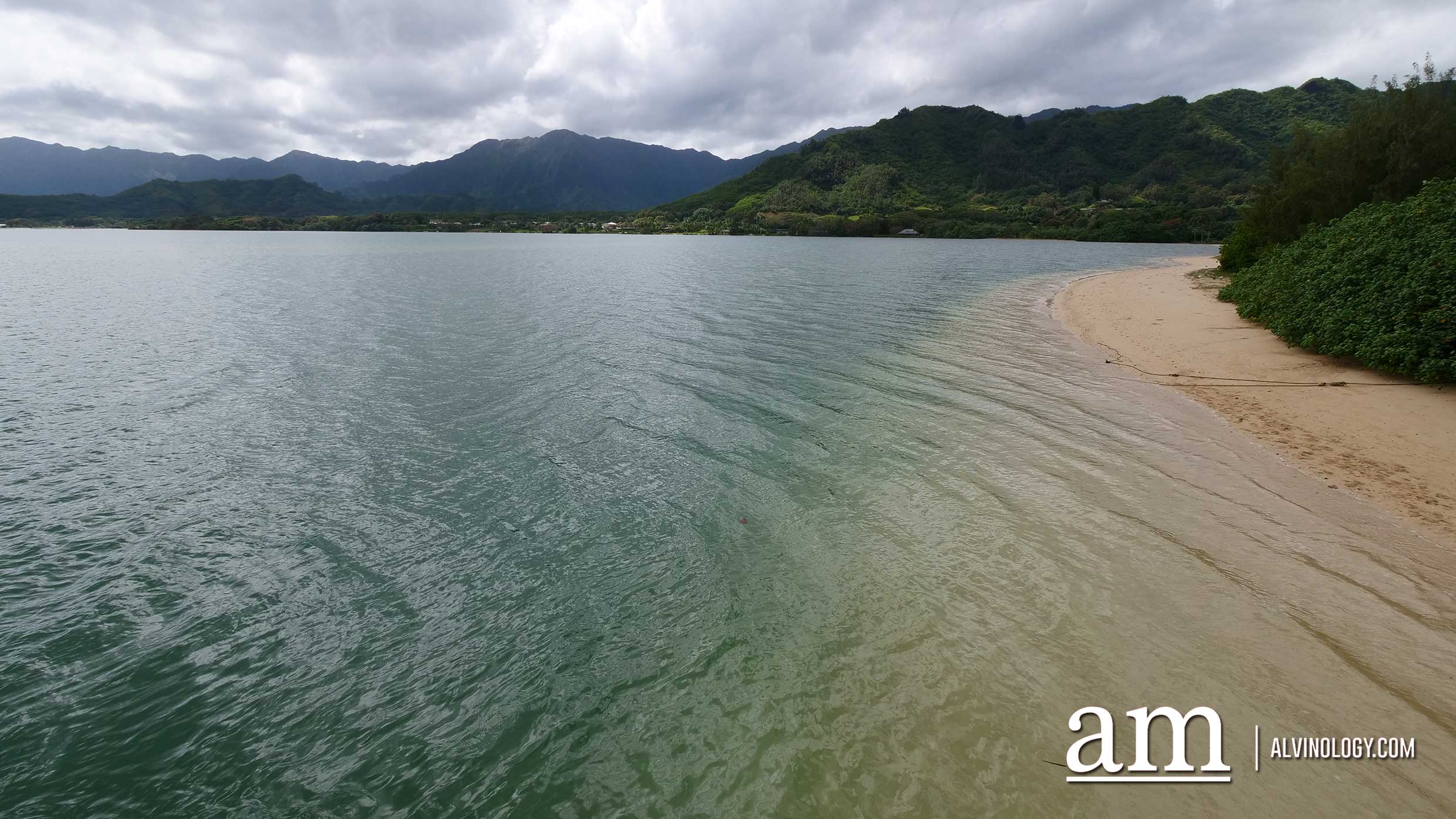 Done with Bali and Phuket? Scoot to Hawaii next and here's why - Alvinology