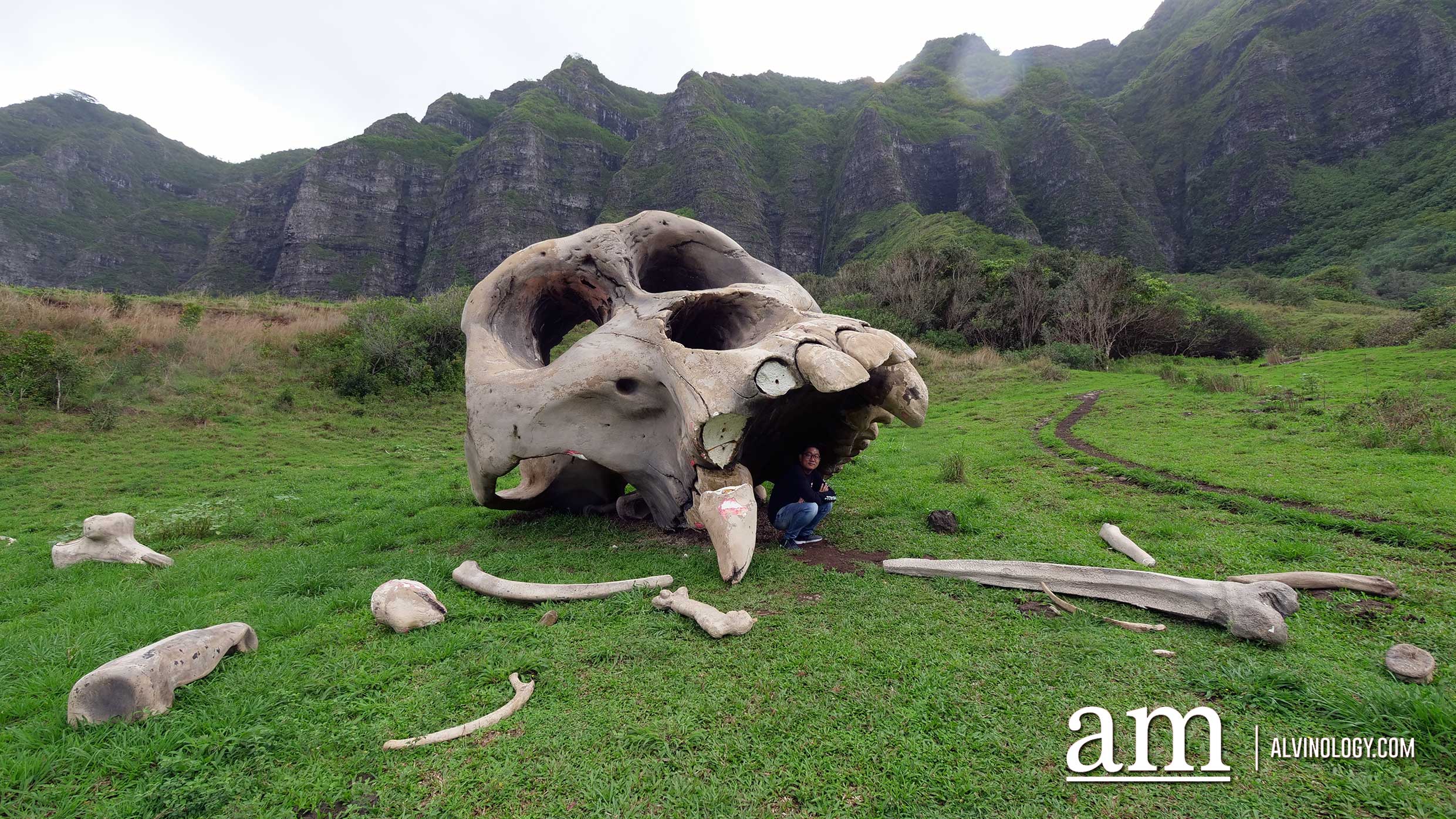 Done with Bali and Phuket? Scoot to Hawaii next and here's why - Alvinology