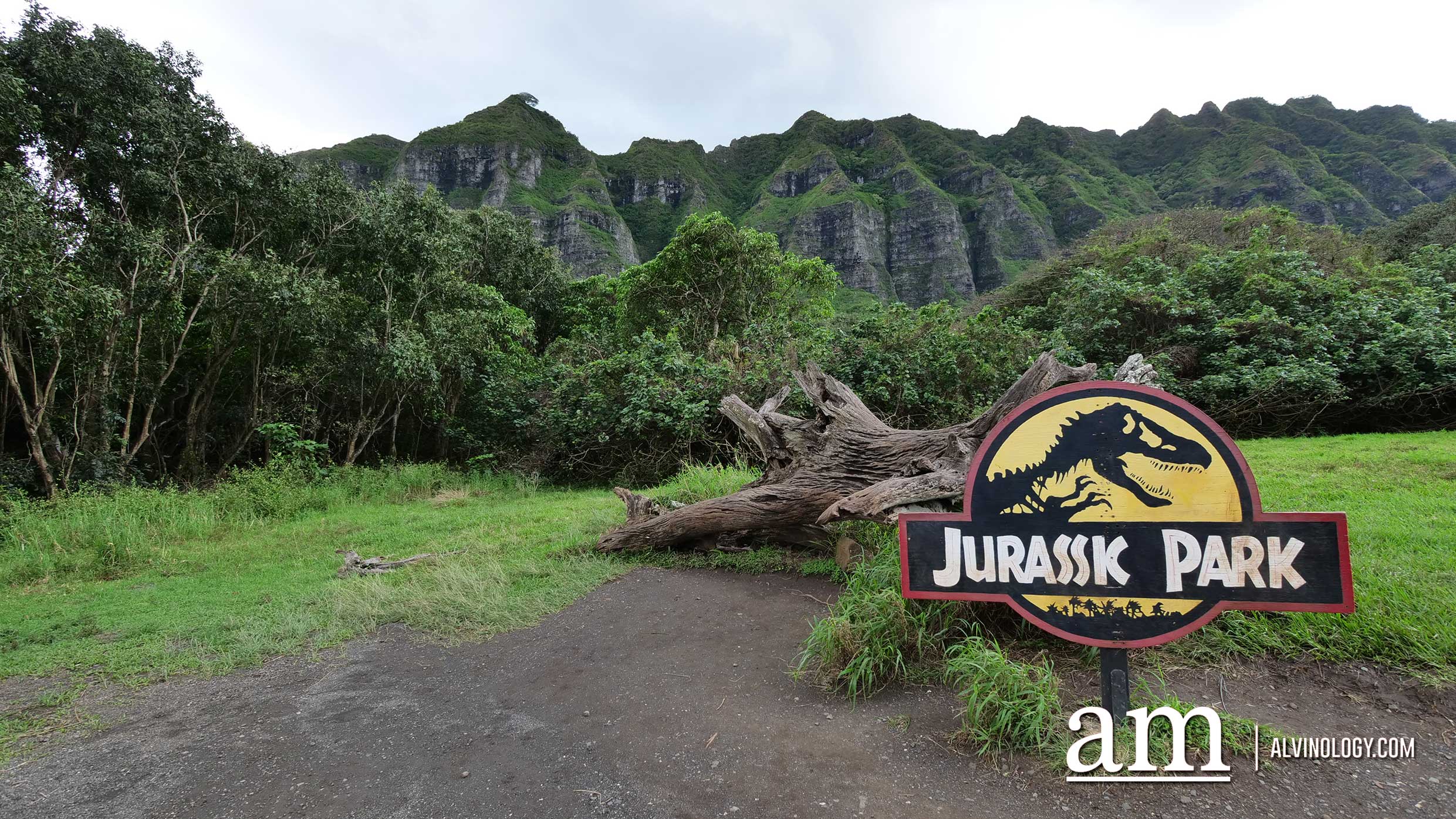 Done with Bali and Phuket? Scoot to Hawaii next and here's why - Alvinology