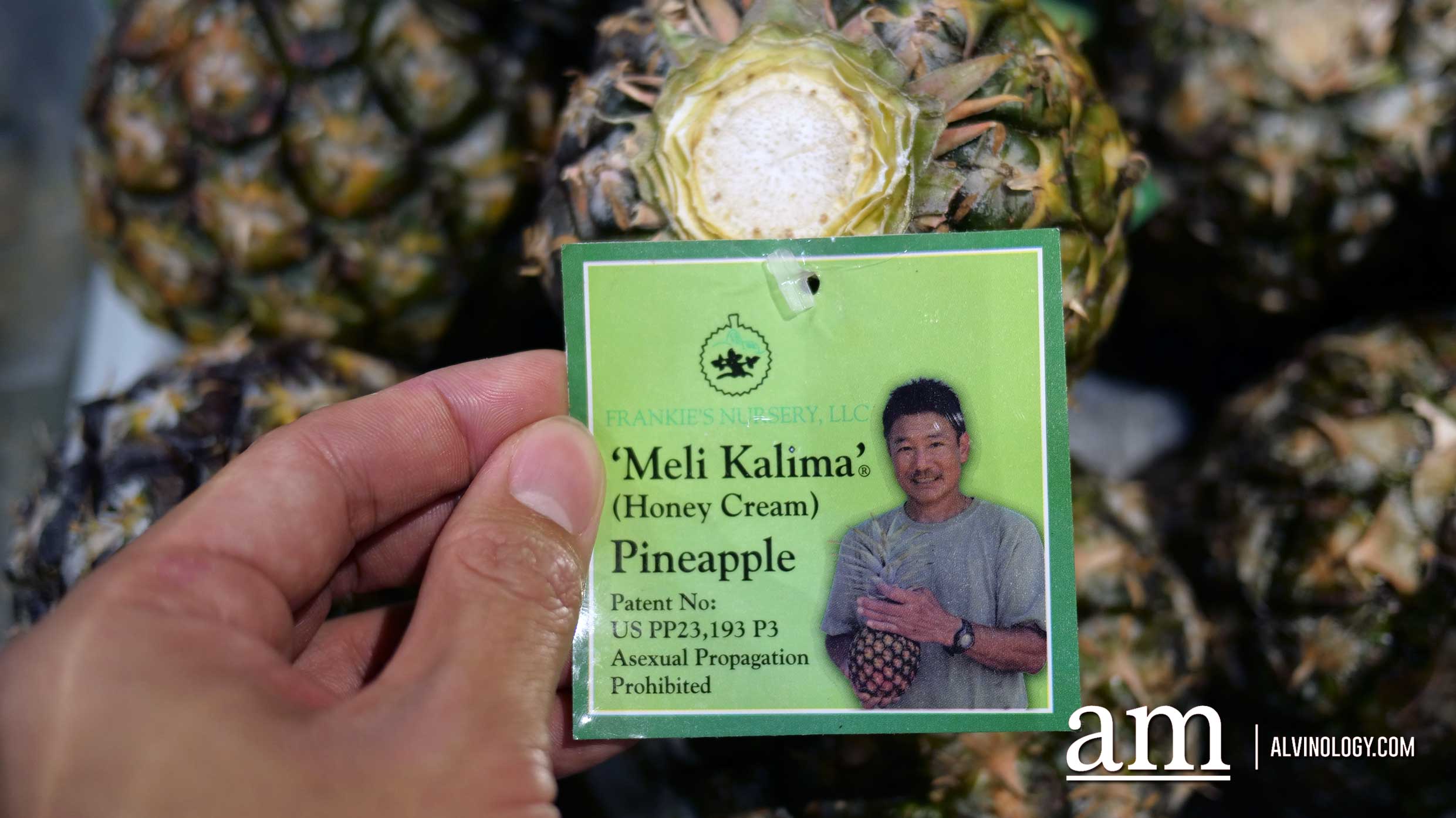 Done with Bali and Phuket? Scoot to Hawaii next and here's why - Alvinology