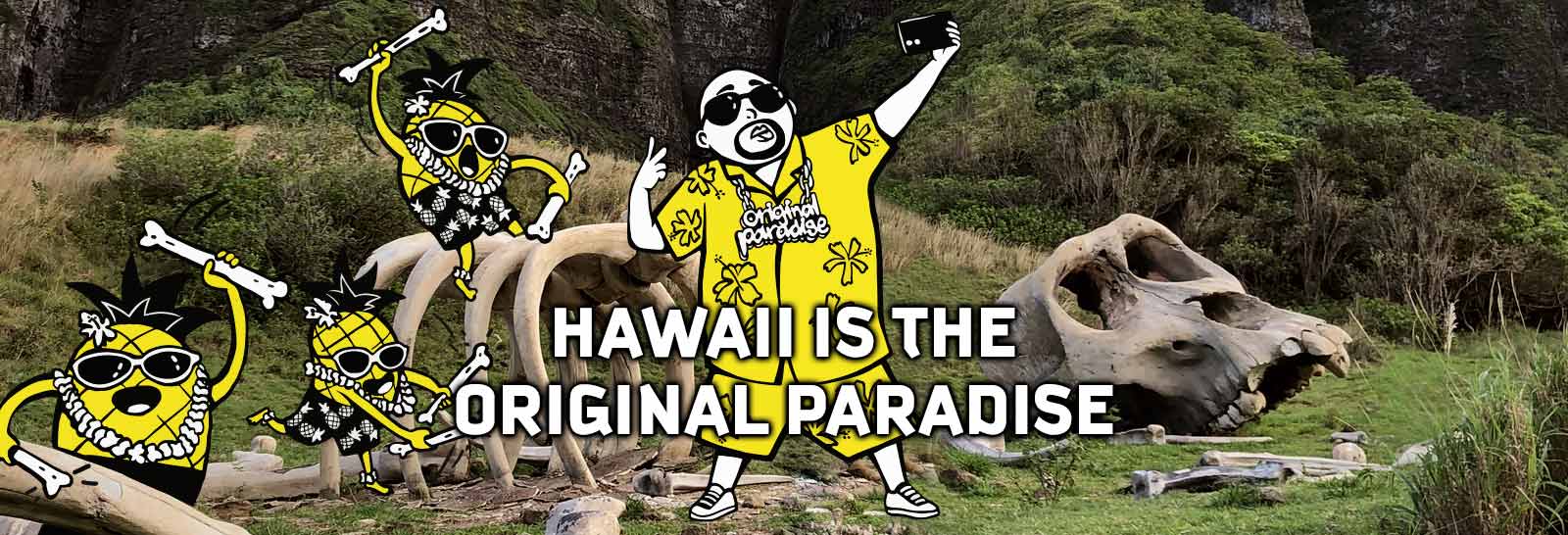 Done with Bali and Phuket? Scoot to Hawaii next and here's why - Alvinology