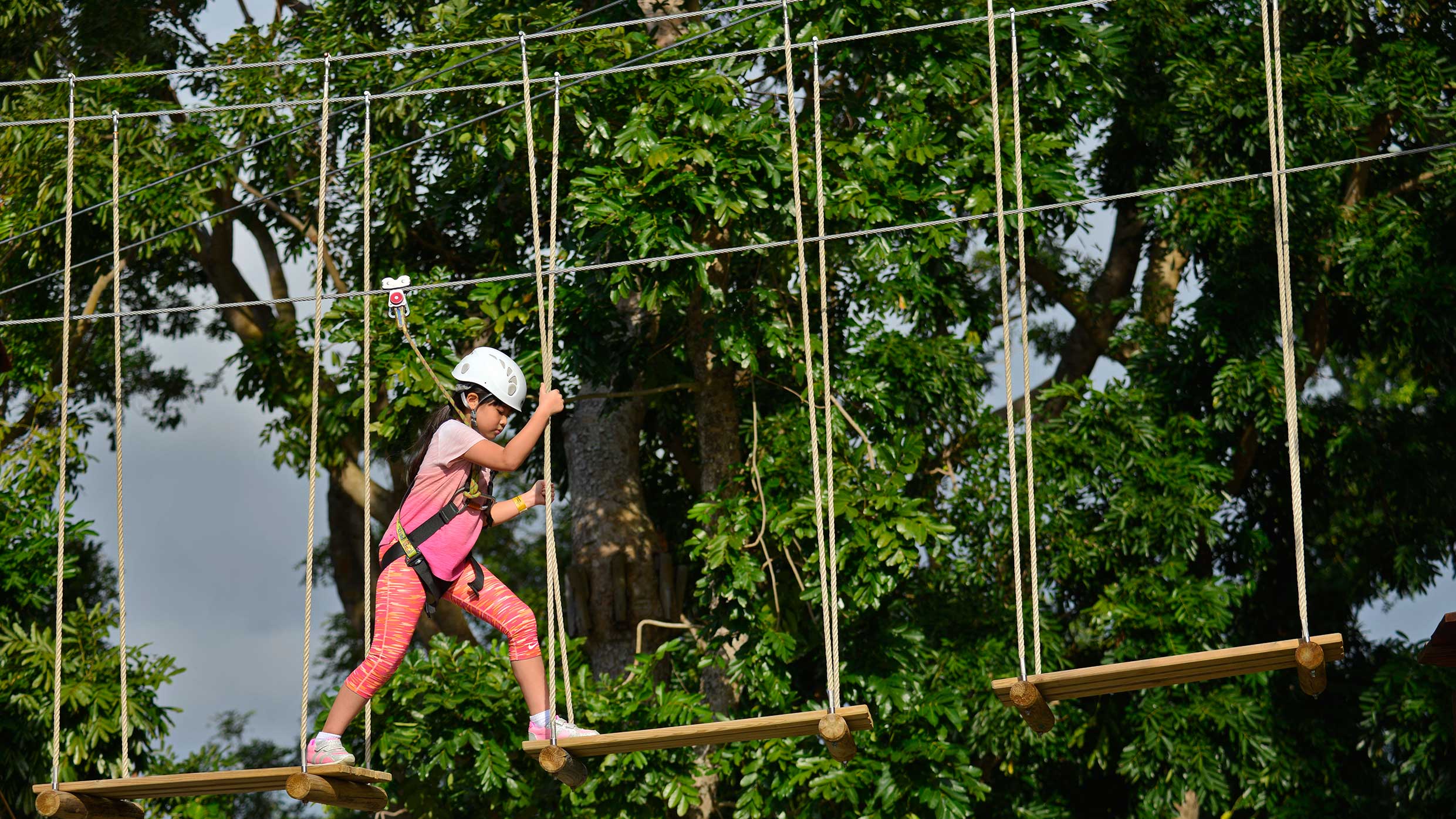 Forest Adventure at Bedok Reservoir Park - Singapore's First and Only Treetop Obstacle Course is now Bigger and Better Forest Adventure at Bedok Reservoir Park - Singapore's First and Only Treetop Obstacle Course is now Bigger and Better - Alvinology