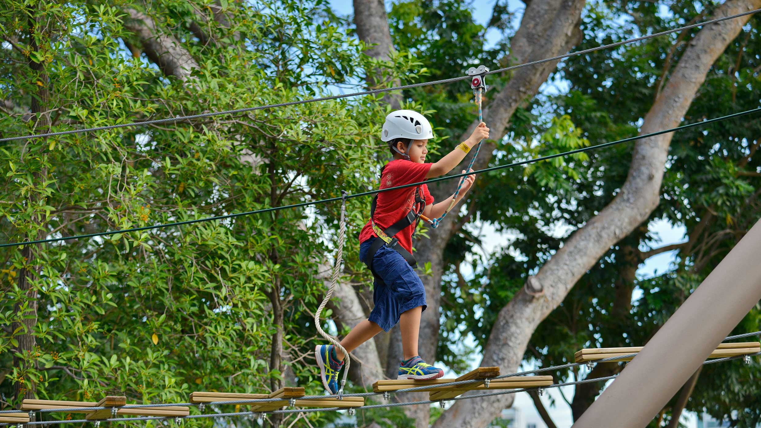 Forest Adventure at Bedok Reservoir Park - Singapore's First and Only Treetop Obstacle Course is now Bigger and Better Forest Adventure at Bedok Reservoir Park - Singapore's First and Only Treetop Obstacle Course is now Bigger and Better - Alvinology