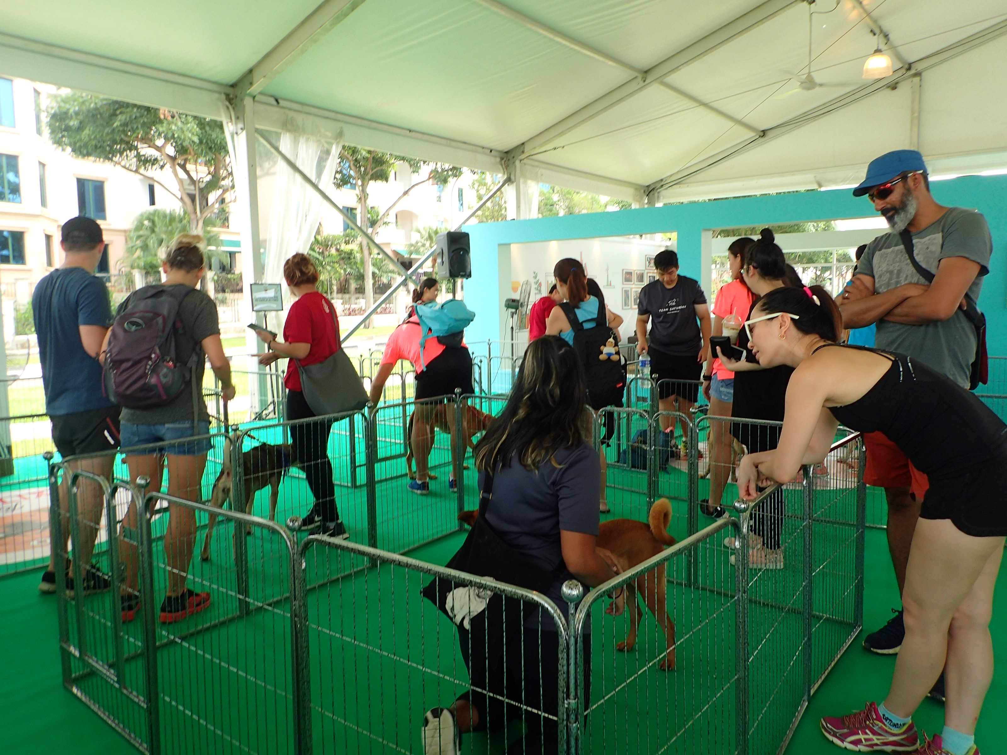 Netflix and SOSD presents Netflix and Woof adoption drive! Netflix and SOSD presents Netflix and Woof adoption drive! - Alvinology